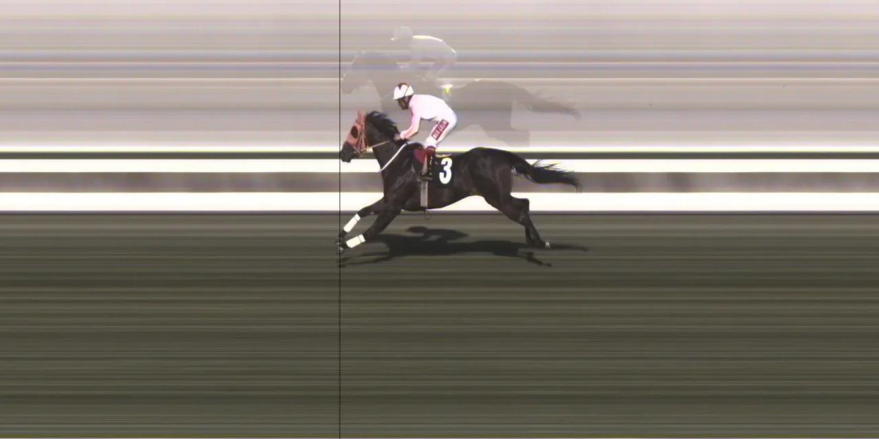 Şampiyon yarış atının sahibine para cezası kesildi