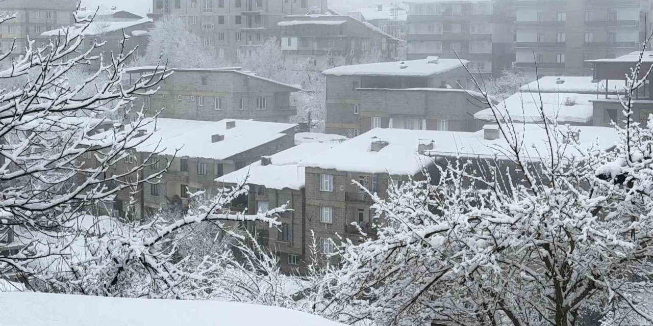 Hakkari’de kar yağışı etkili oluyor
