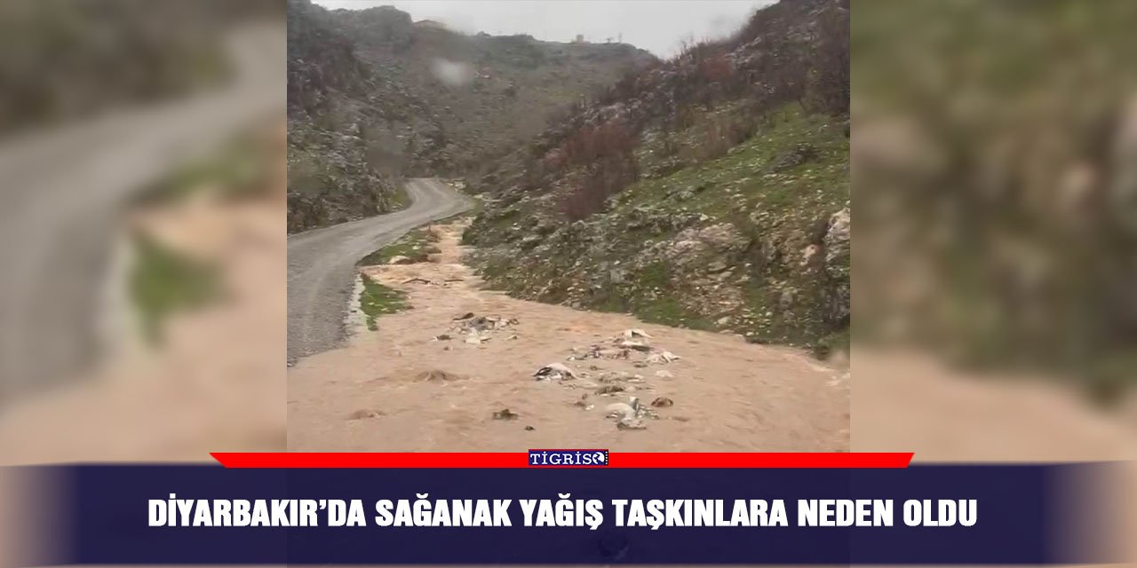 Diyarbakır’da sağanak yağış taşkınlara neden oldu