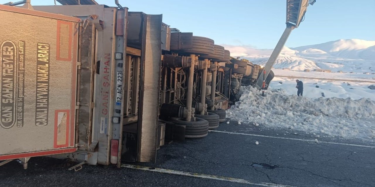 Bitlis’te devrilen tırda 10 büyükbaş hayvan telef oldu