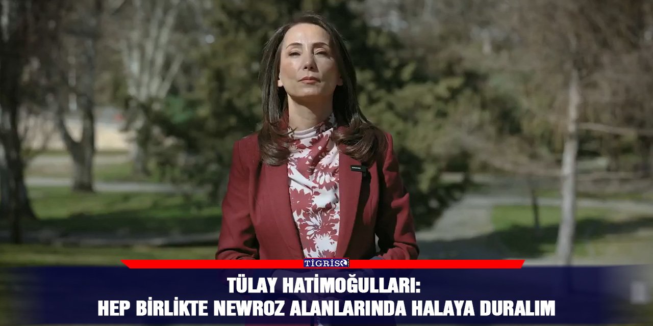 Tülay Hatimoğulları: Hep birlikte Newroz alanlarında halaya duralım