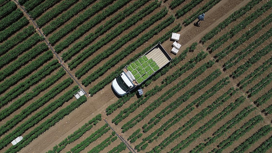 Tarımsal girdi fiyat endeksi arttı