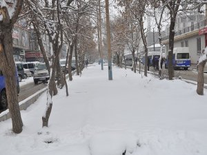 Yüksekova'da mevsimin ilk karı yağdı