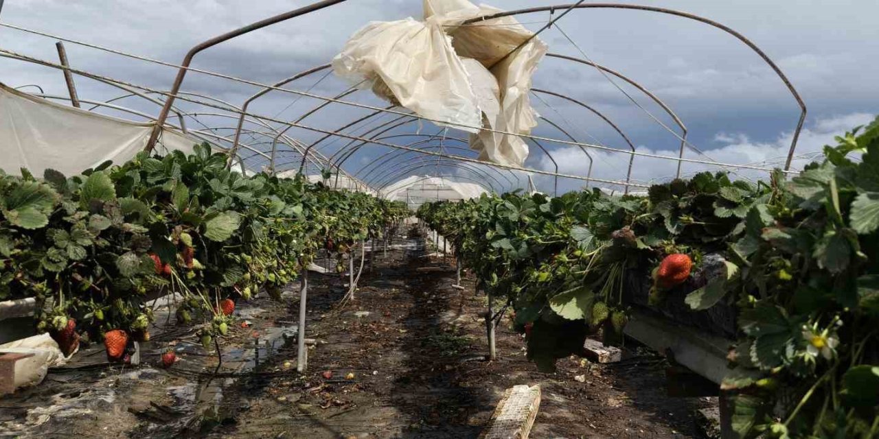 Hortum seraları yerle bir etti