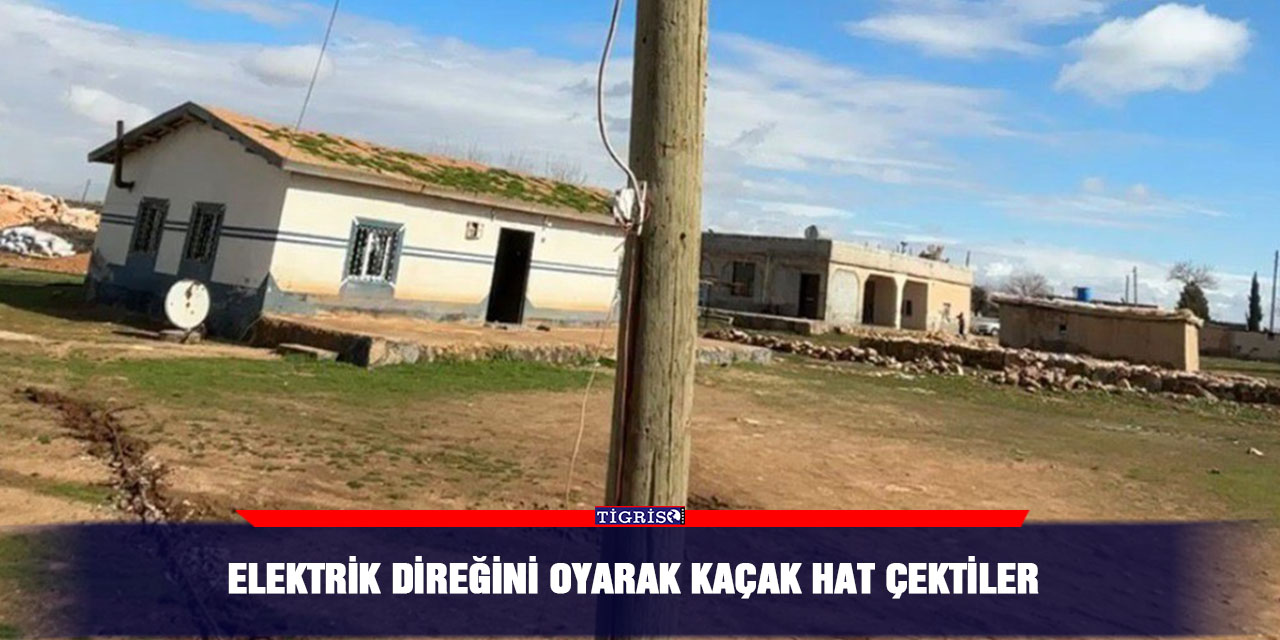 Elektrik direğini oyarak kaçak hat çektiler