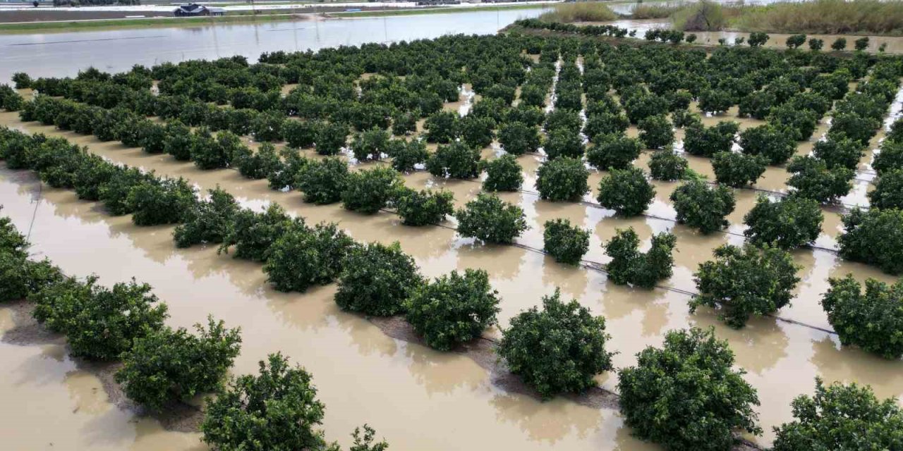 Sağanak yağış tarım arazilerini vurdu