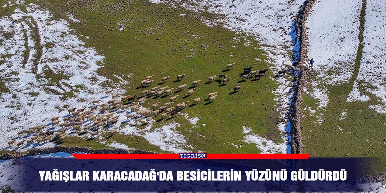 Yağışlar Karacadağ'da besicilerin yüzünü güldürdü