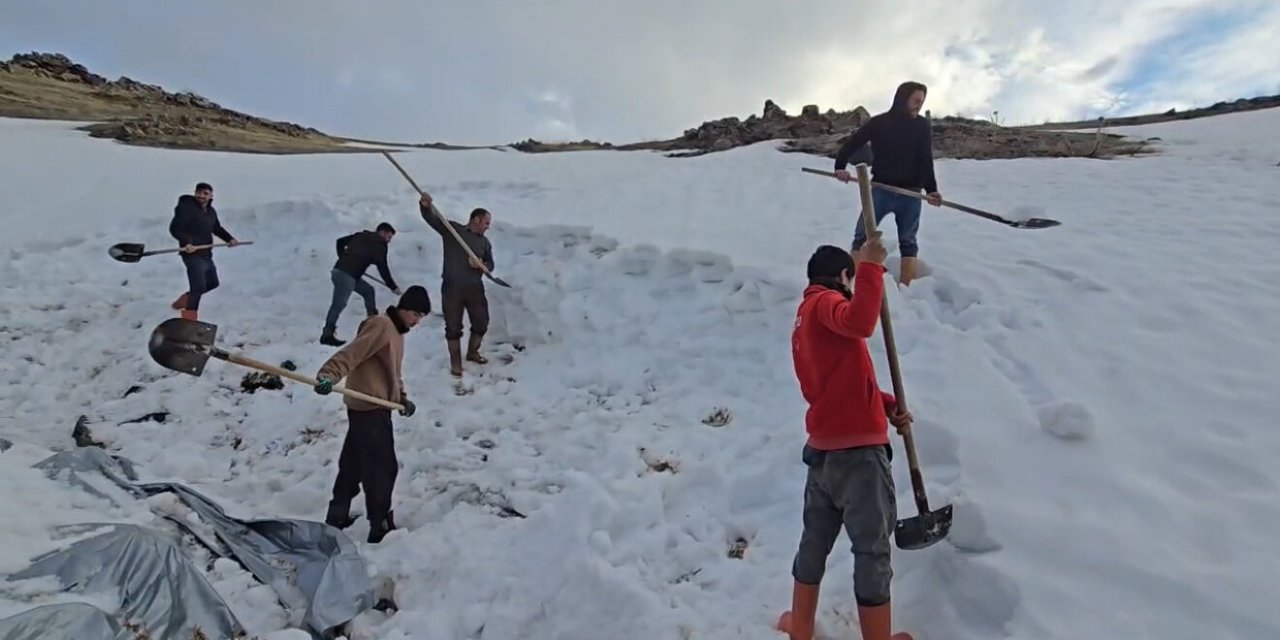 Iğdır’da besiciler karı depolayıp su ihtiyacını karşılıyor
