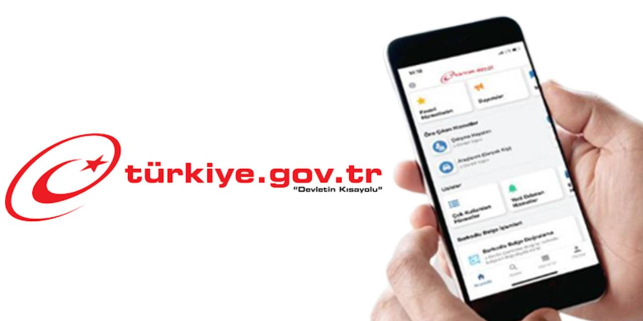 E-Devlet görünümlü siteyle milyonluk vurgun