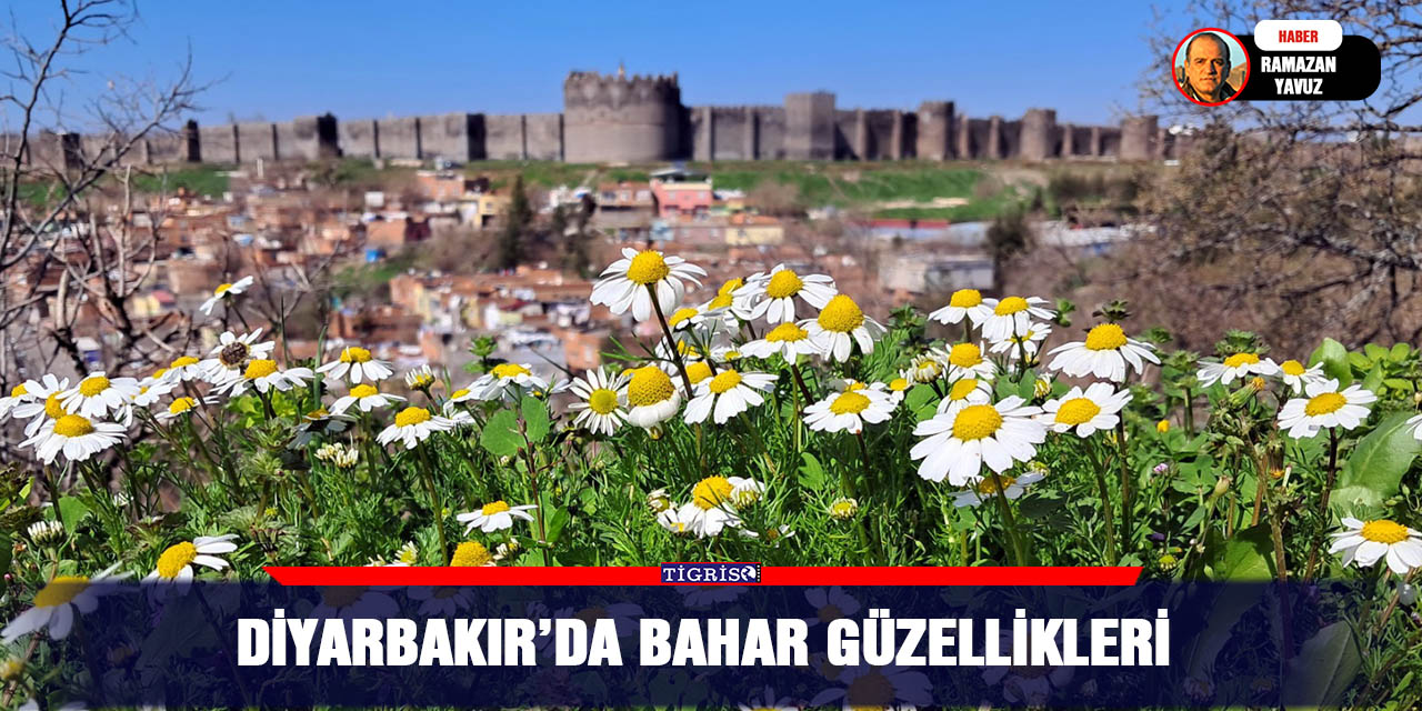 Diyarbakır’da bahar güzellikleri
