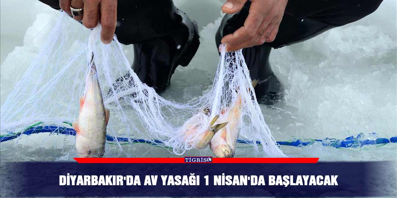Diyarbakır'da av yasağı 1 Nisan'da başlayacak