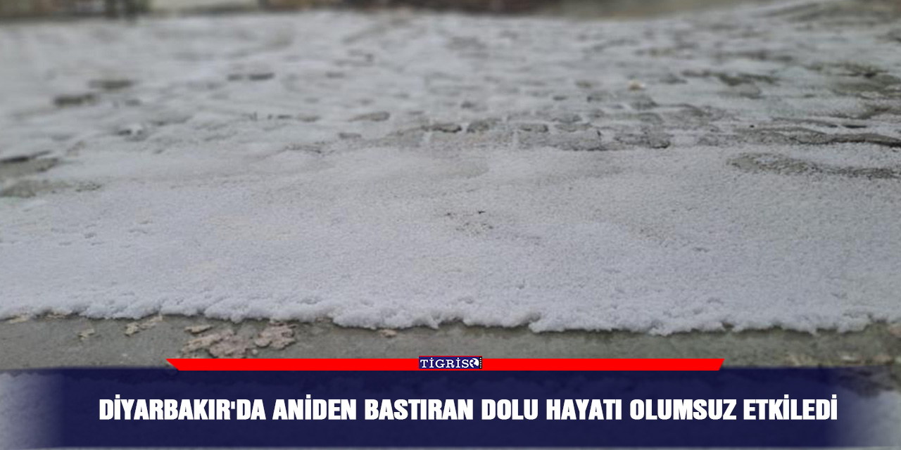 Diyarbakır'da aniden bastıran dolu hayatı olumsuz etkiledi