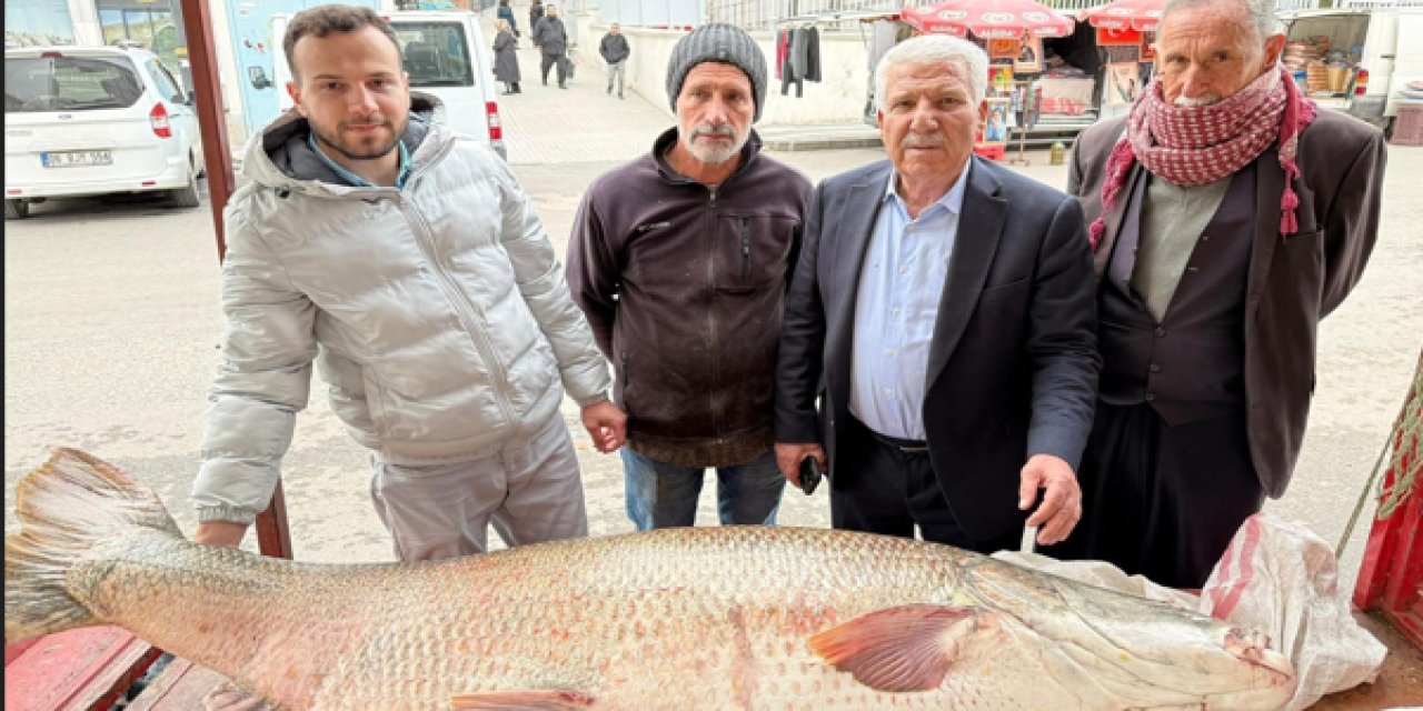 Diyarbakır’da 120 kiloluk turna balığı satışa çıktı
