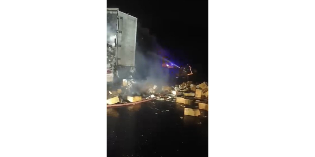 Şanlıurfa’da peçete yüklü tır alev aldı