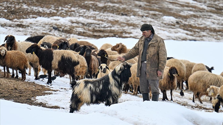 Van'ın kırsal mahallelerinde karla mücadele sürüyor