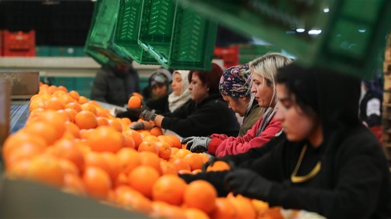 Kadın çalışanların toplam ihracattaki payı yüzde 23,5'e yükseldi