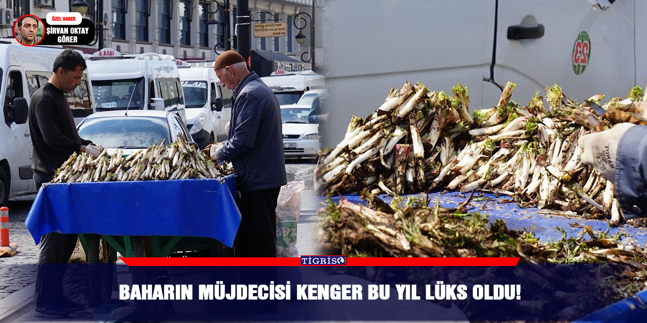 Baharın müjdecisi kenger bu yıl lüks oldu!