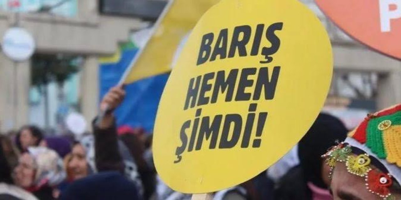 Dünya Örnekleri ve Türkiye’de Barış Arayışı: Müzakere ve Diyalog Perspektifi