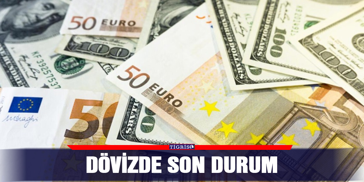 Dövizde son durum