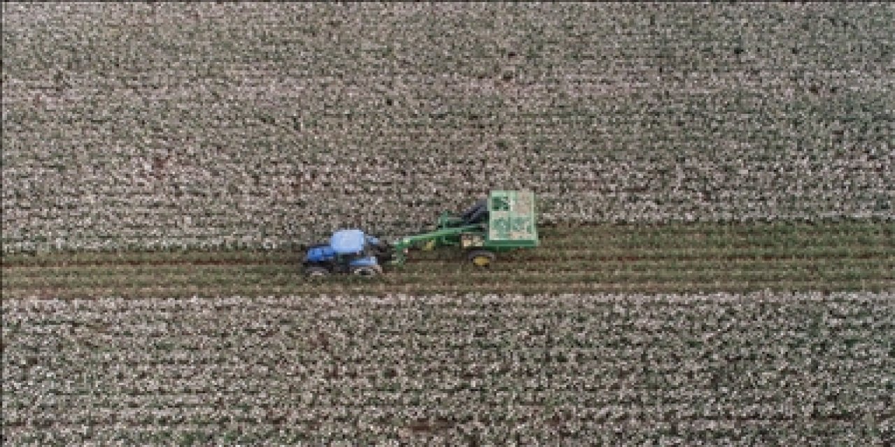 Gübre fiyatları fırladı, çiftçi zor durumda