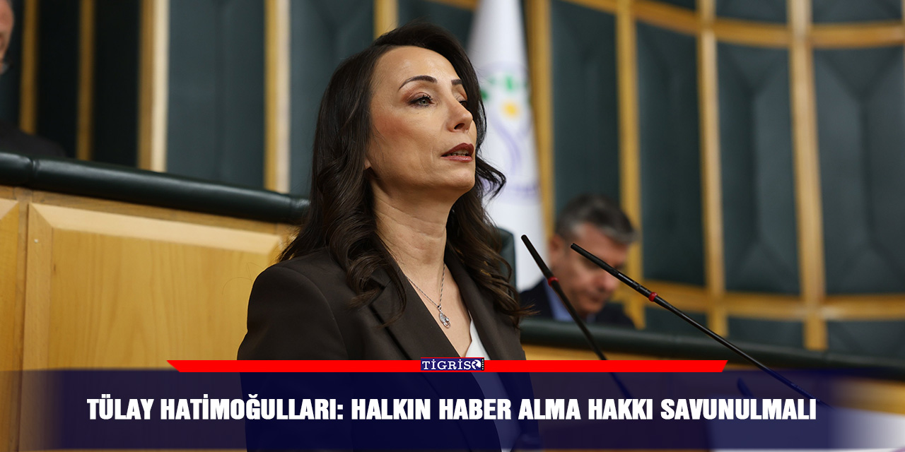 Tülay Hatimoğulları: Halkın haber alma hakkı savunulmalı
