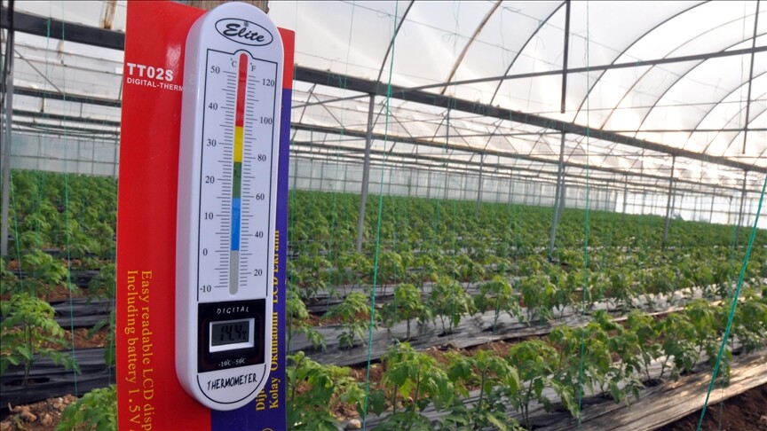 Zirai don uyarısı sonrası üreticiler tedbirlere odaklandı