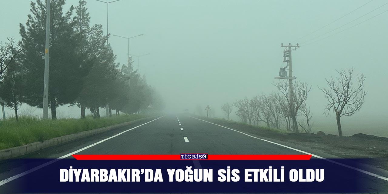 Diyarbakır’da yoğun sis etkili oldu