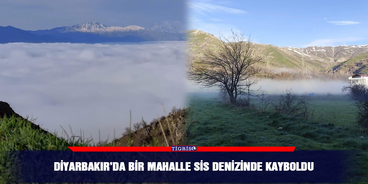 Diyarbakır’da bir mahalle sis denizinde kayboldu