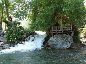 Kaz Dağları'nda kimyasal ilaçlama yaşamı tehdit ediyor