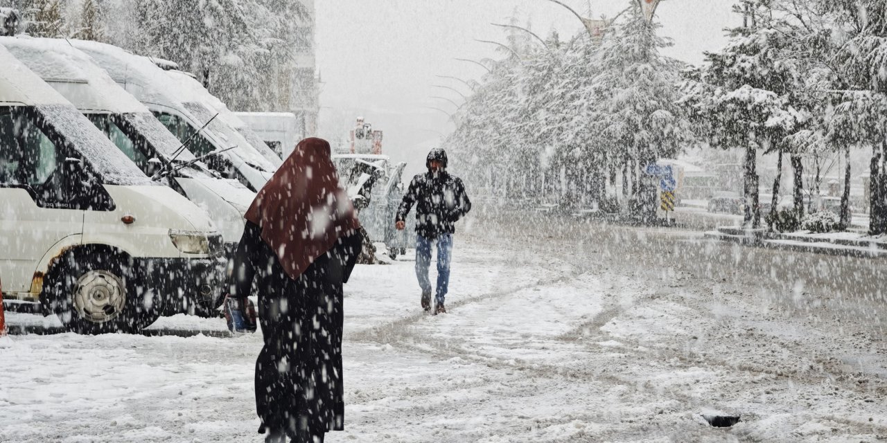 Ahlat’ta nisan karı etkili oldu
