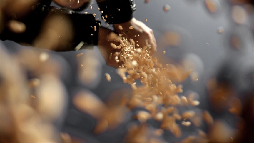 Sertifikalı tohum üretimi son 10 yılda yüzde 50,7 arttı