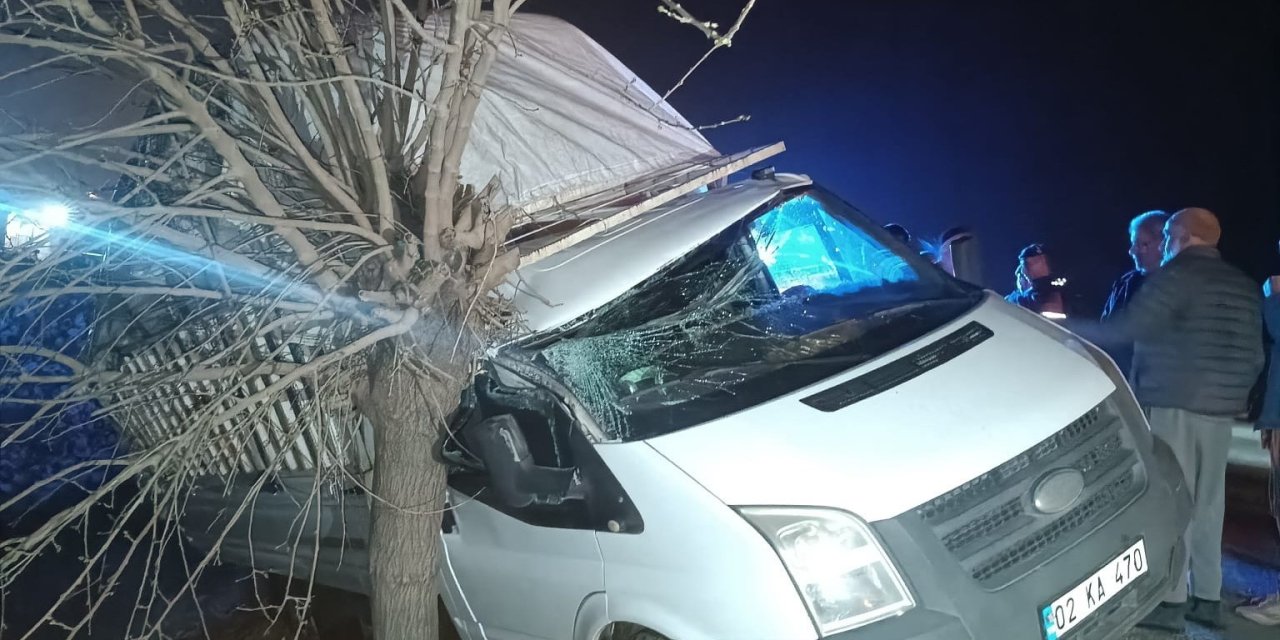 Kamyonet şarampolde ağaca çarptı: 1 yaralı