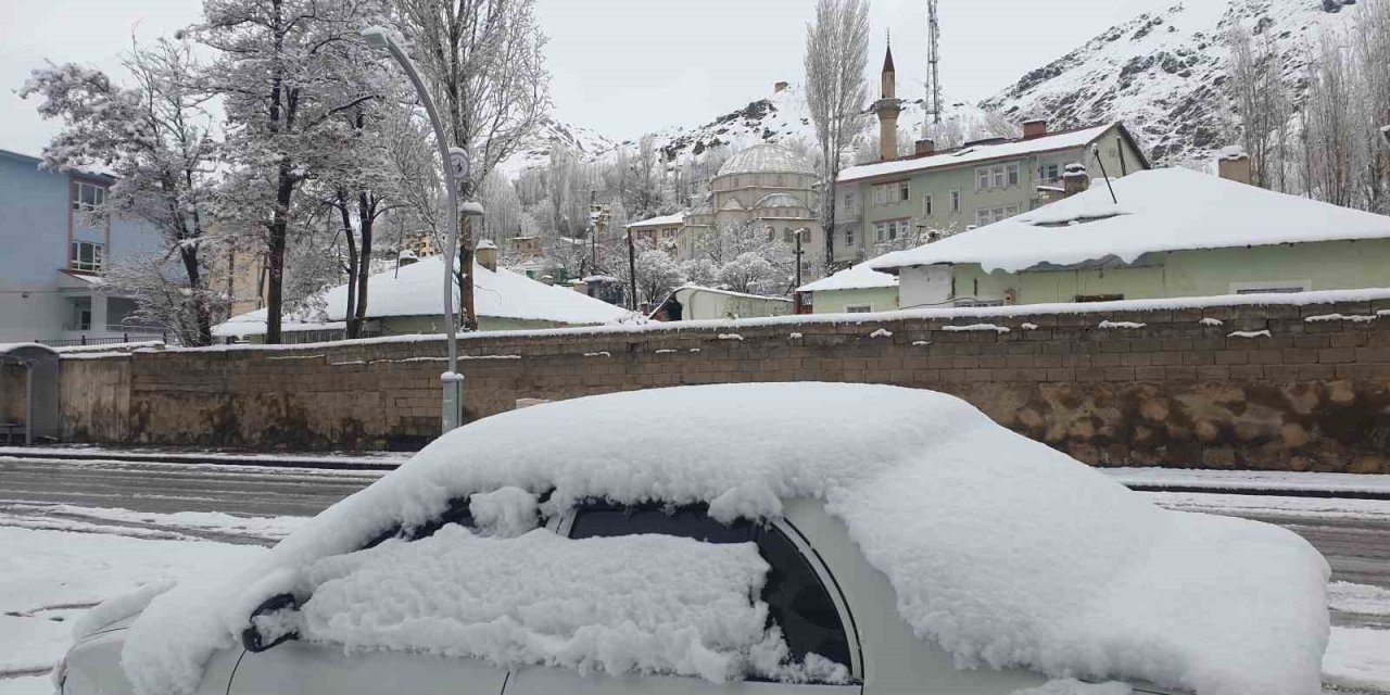 Başkale’de nisan ayında kar yağışı