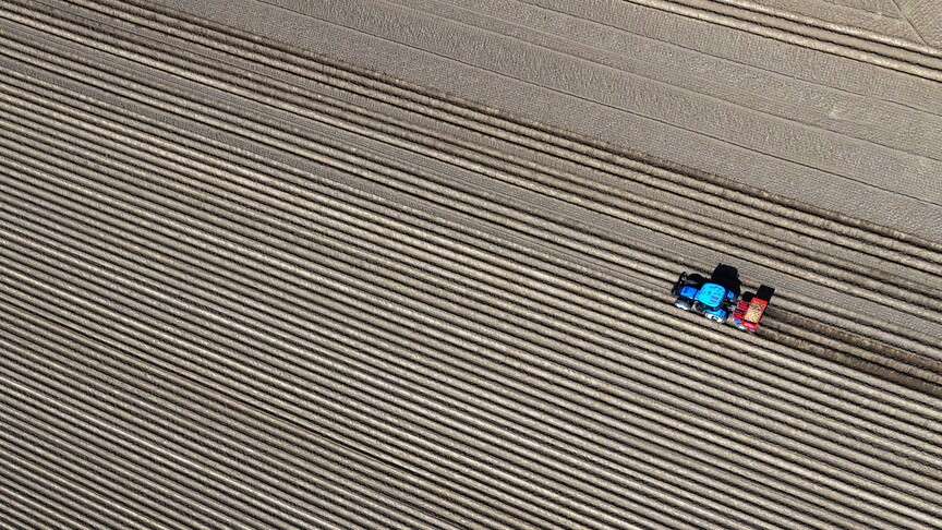 Körfez'deki savaşın tarım sektörüne bütçesi belli oldu