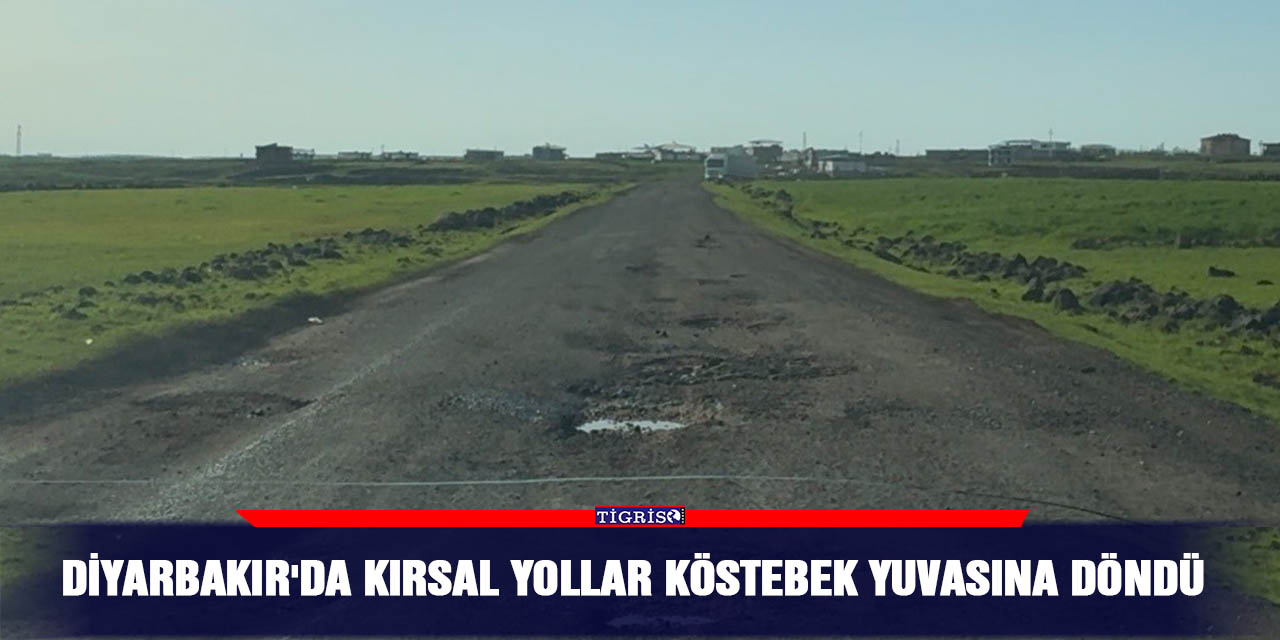 Diyarbakır'da kırsal yollar köstebek yuvasına döndü