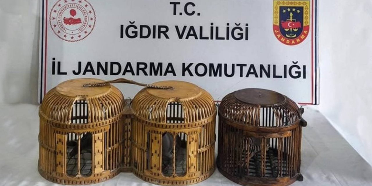 Keklik avlayanlara ceza kesildi