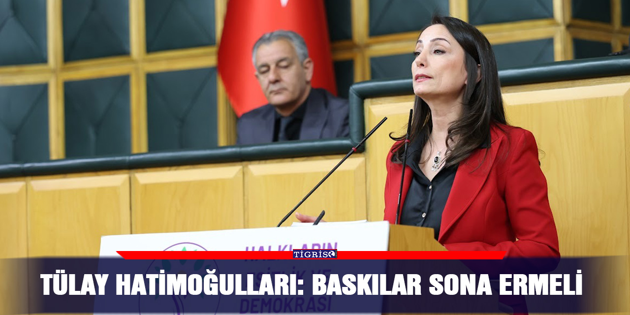 Tülay Hatimoğulları: Baskılar sona ermeli