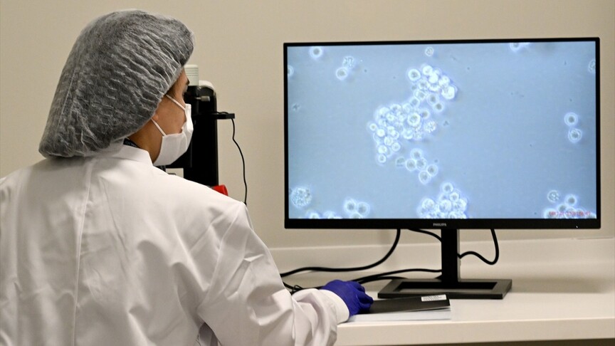 Kan kanseri hastaları için "hücre" tedavisi dönemi başladı