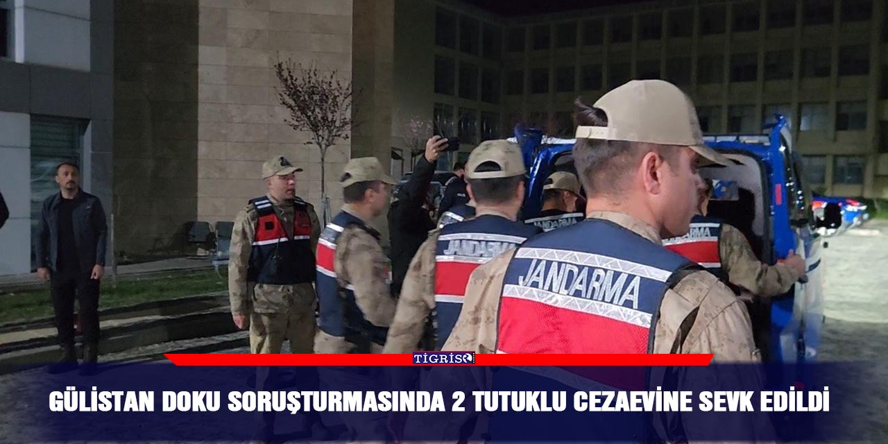 Gülistan Doku soruşturmasında 2 tutuklu cezaevine sevk edildi