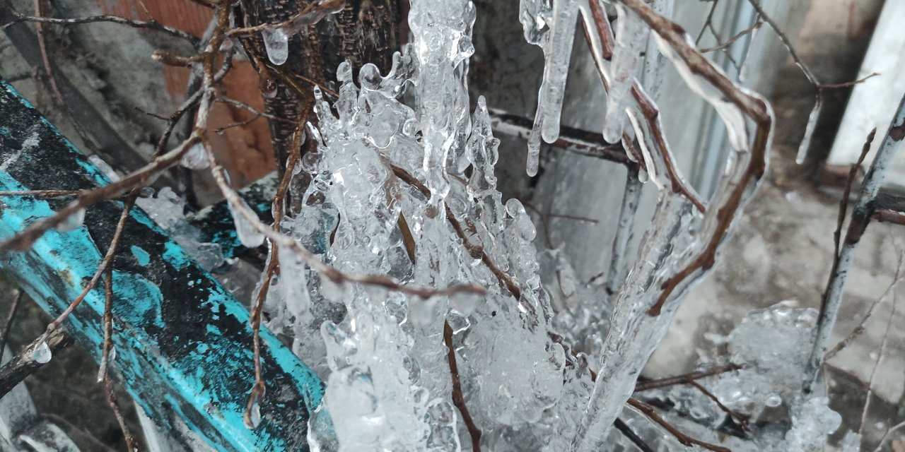 Ardahan’da dondurucu soğuk: Ağaçlar buz tuttu
