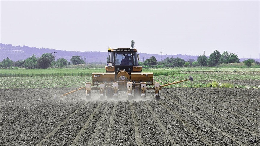 Tarım destekleme ödemeleri bugün yapılacak