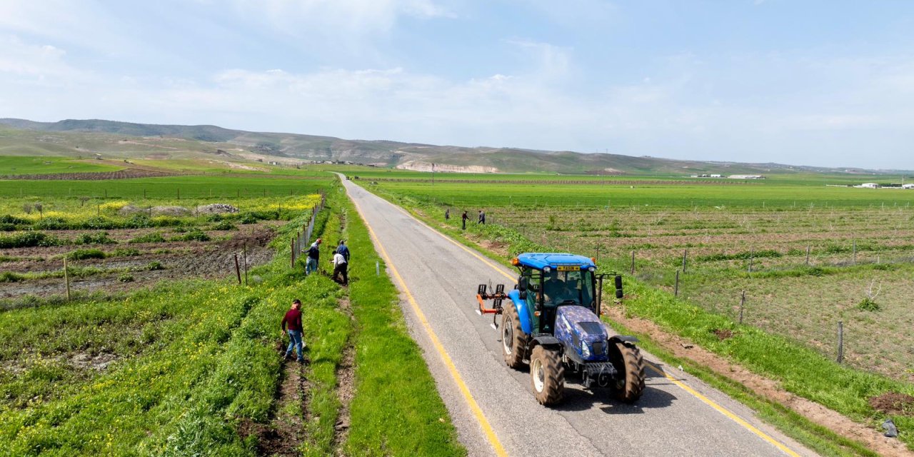 Batman'da 3 bin 300 meyve fidanı dikildi