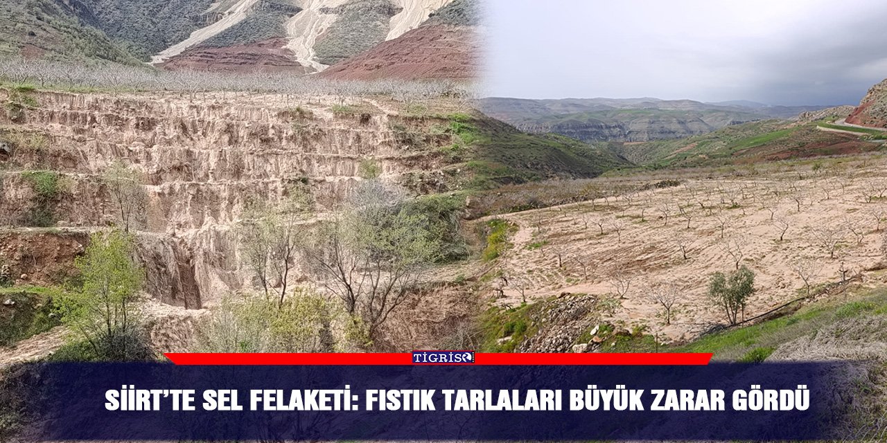 Siirt’te sel felaketi: Fıstık tarlaları büyük zarar gördü