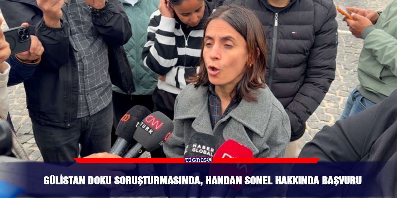 Gülistan Doku soruşturmasında, Handan Sonel hakkında başvuru