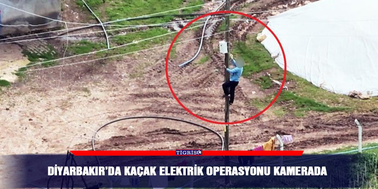 Diyarbakır’da kaçak elektrik operasyonu kamerada