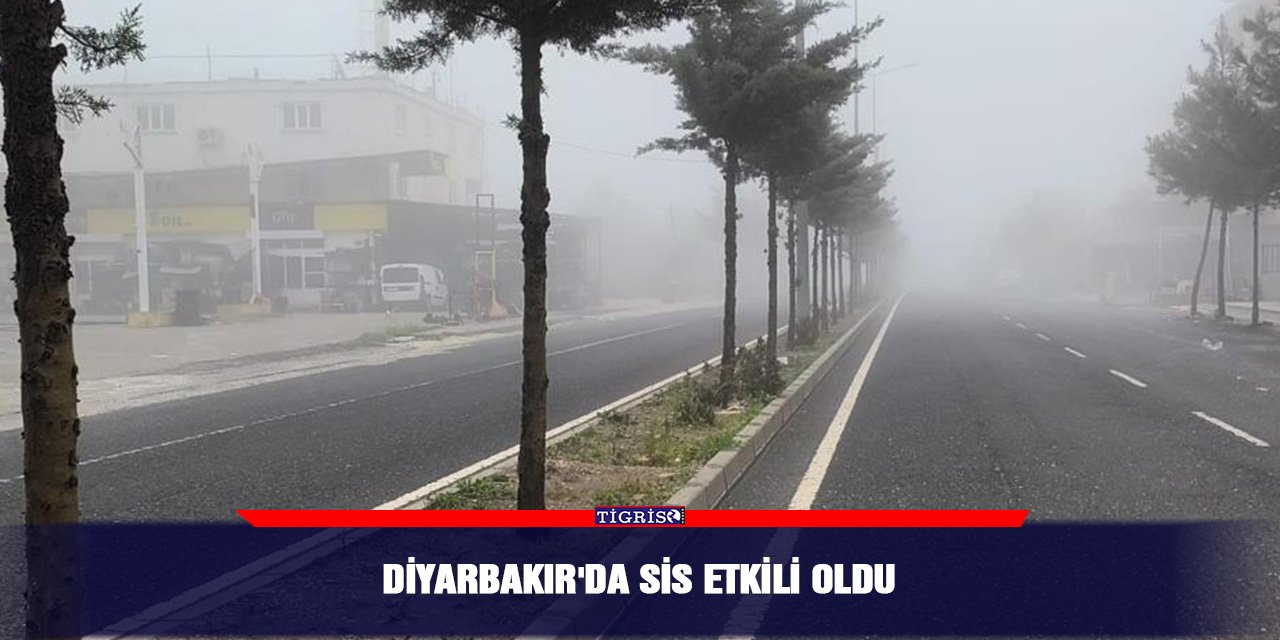Diyarbakır'da sis etkili oldu