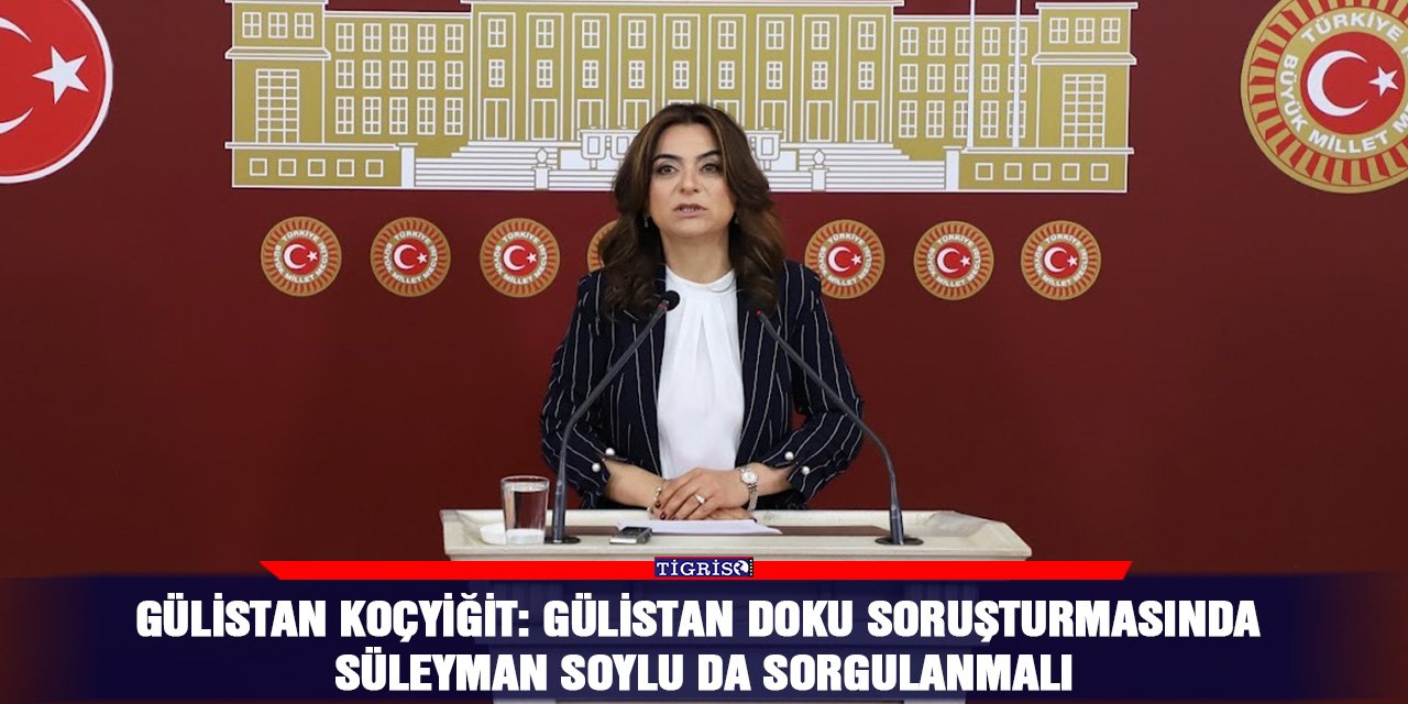 Gülistan Koçyiğit: Gülistan Doku soruşturmasında Süleyman Soylu da sorgulanmalı