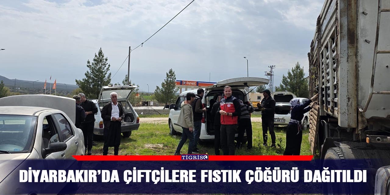 Diyarbakır’da çiftçilere fıstık çöğürü dağıtıldı