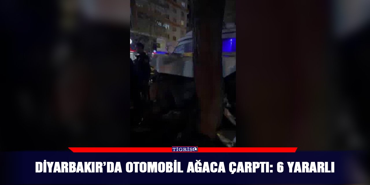 Diyarbakır’da otomobil ağaca çarptı: 6 yararlı