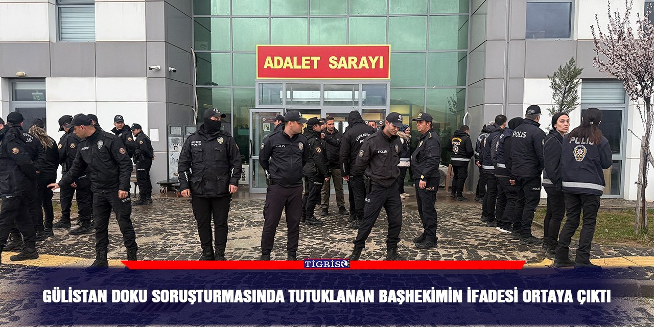 Gülistan Doku soruşturmasında tutuklanan Başhekimin ifadesi ortaya çıktı